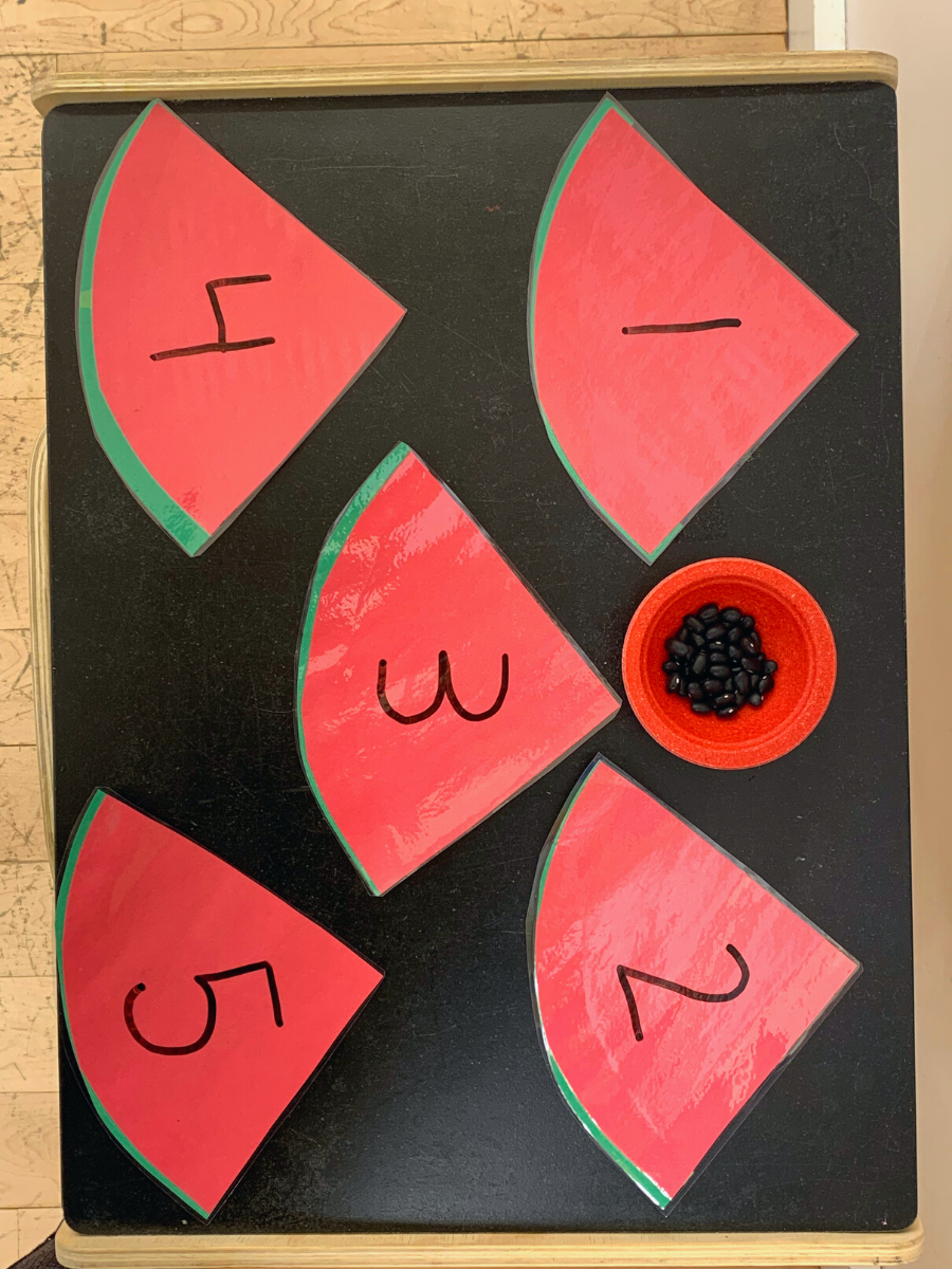 Watermelon Seed Counting - DIY - Playgarden Online